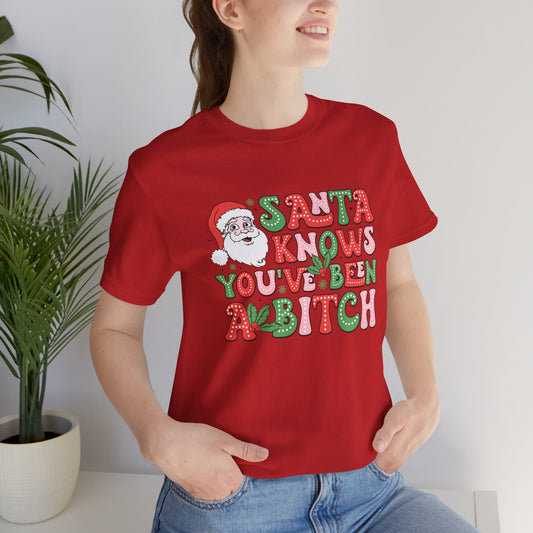 Santa knows you've been a bitch T Shirt